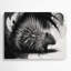 Art animalier gris sauvage-1924229023