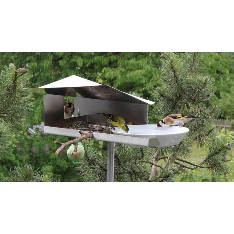 Novosel Bird Feeder