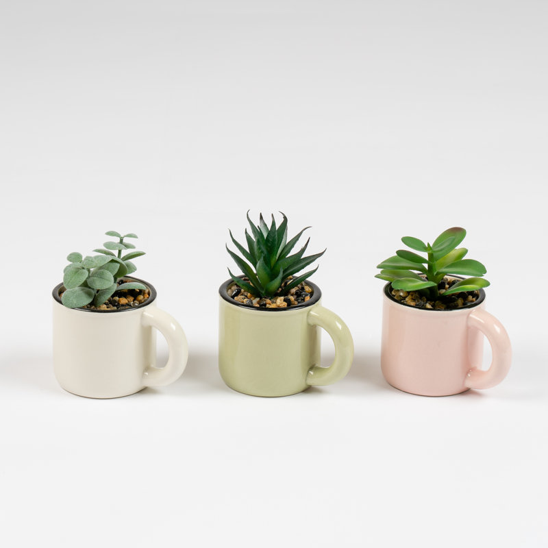 Faux Succulent Cups