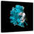 Brampt Plush Fighter Fish-109378022