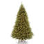 The Holiday Aisle® Kingswood Fir Pencil Tree with Power Connect and Dual Color LED Lights-88040106-88040107