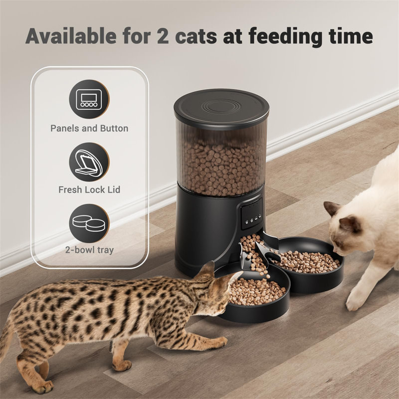 Automatic Feeder