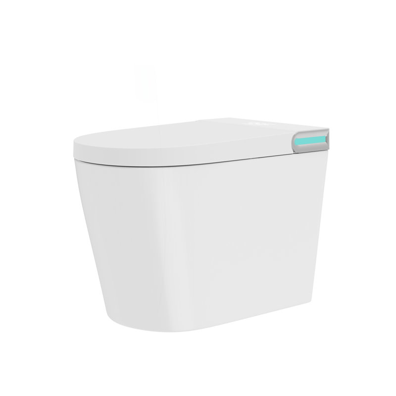 Toilette intelligente avec chauffage instantané du siège