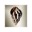 Gilt Shells II Print by Zoey Riley-26935434-26935438