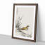 Chinese Tree-Pipit by Numata Kashu - Picture Frame Painting Print-55680399-55680398