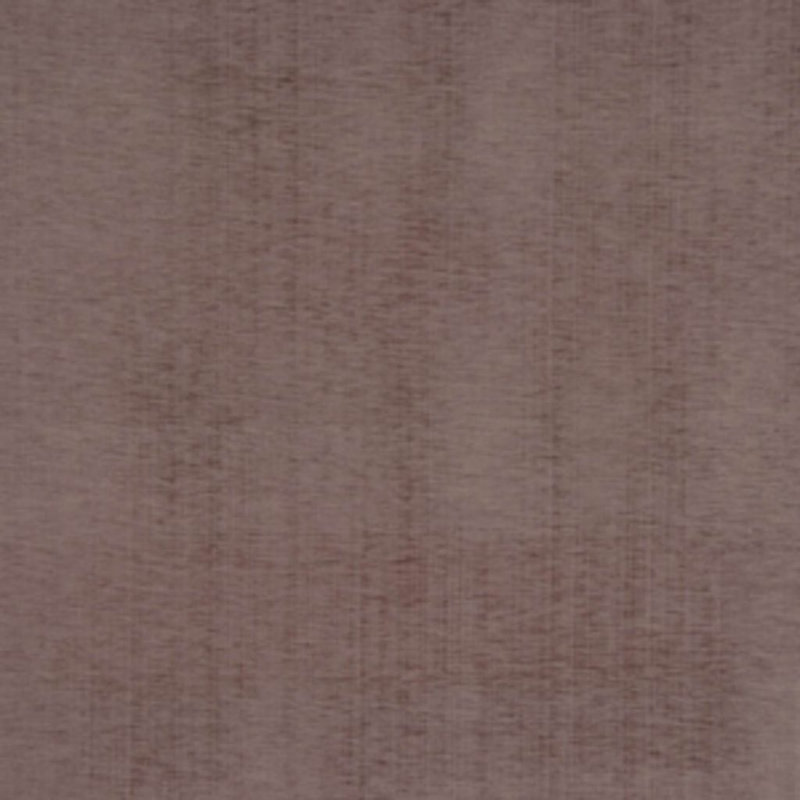 Tissu de seigle, Zinc