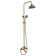 Complete Shower System with Rough in-Valve
