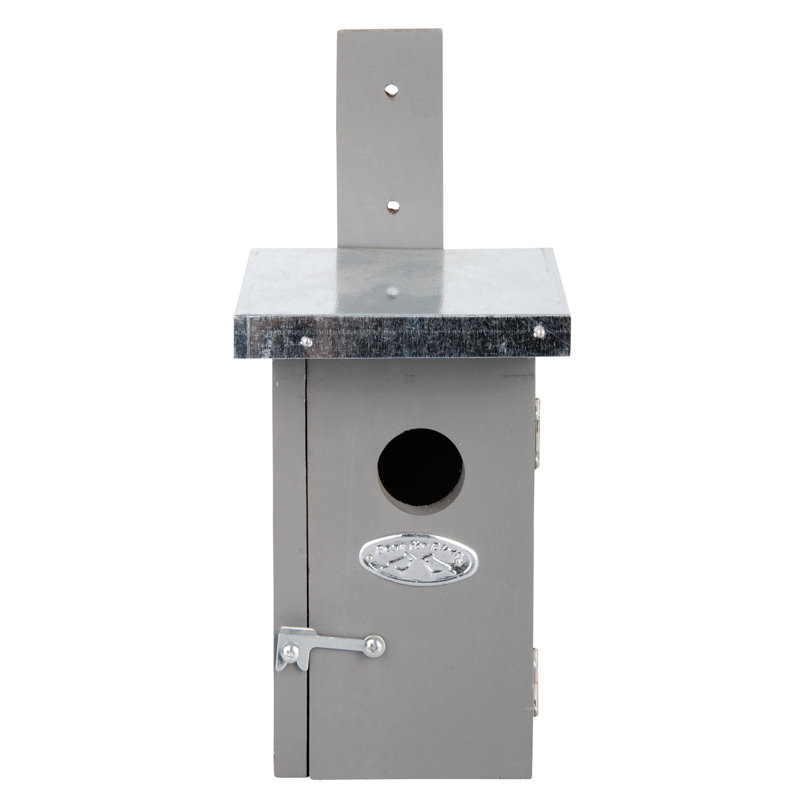 Stovall Mounted Birdhouse, Grey