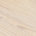 White Sand Wirebrush