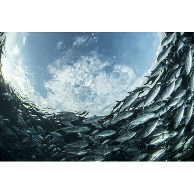 Underwater by Atese - Wrapped Canvas Print
