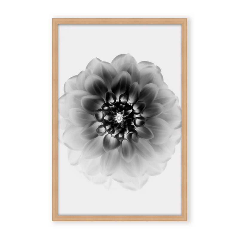 X-Ray Print by Alex Zhao, 24" H x 16" W x 1.125" D, Black, Framed Matted Print