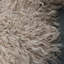 Ennis Novelty 60 cm x 90 cm Sheepskin Area Rug