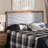 Joran Upholstered Headboard-1298054781-1298054782