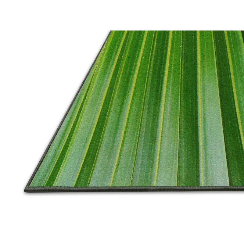 Tapis vert Atchison, Rectangle 2 pi x 3 pi