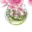 Orchids Arranged With Vines In A Clear Glass Bubble Bowl