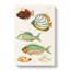 East Indies Fish Illustrations Fol. 23 by Hashimoto Gaho - Wrapped Canvas-55342505