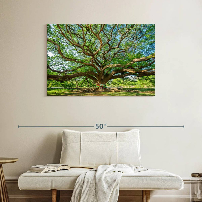Vieil arbre Harnek, H 26 po x l 39 po