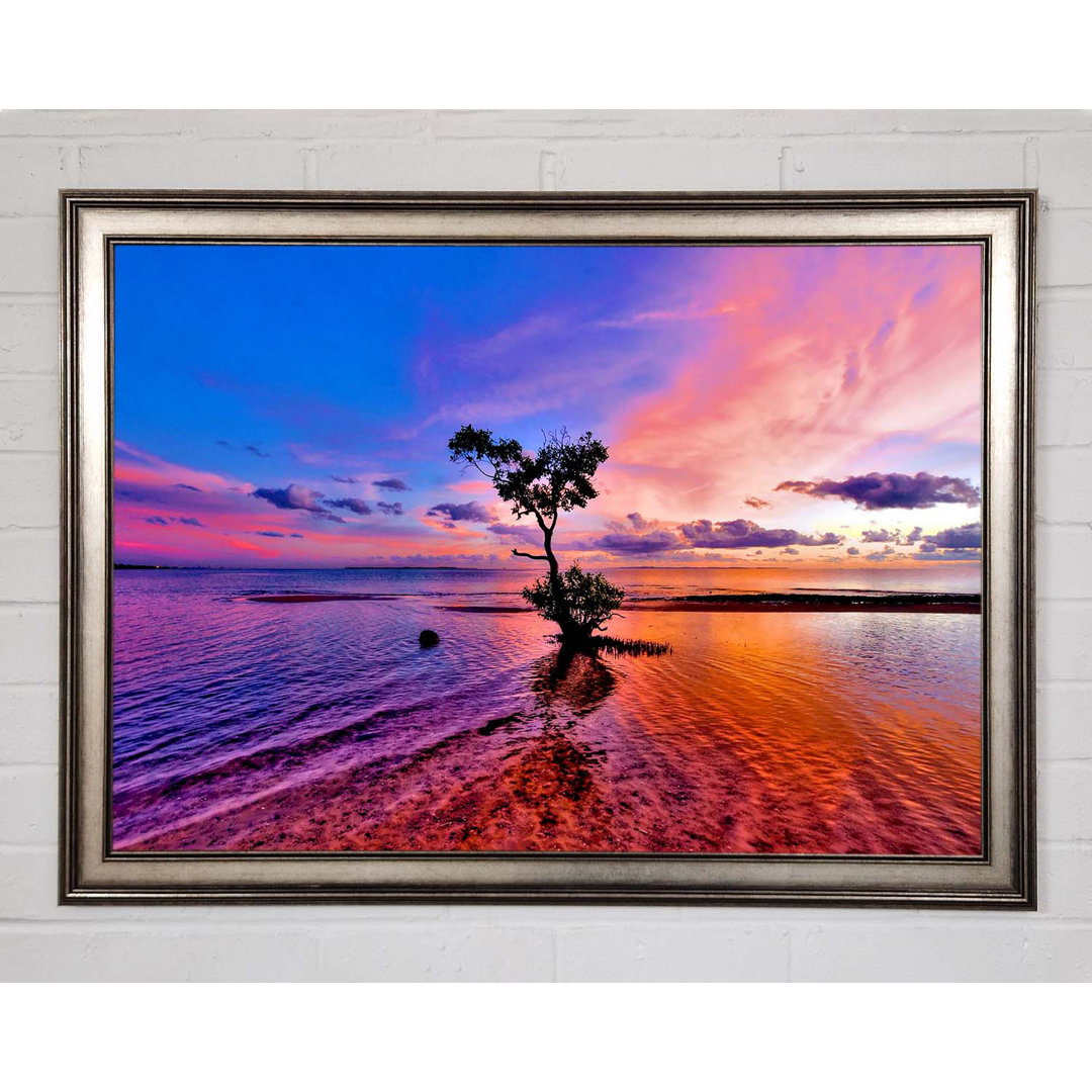 Gerahmtes Leinwandbild Ocean Tree Dusk