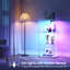 Vitrine en verre-595464227