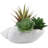 6.5'' Faux Succulent Plant in Cement Planter