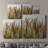 Cattails II-Premium Gallery Wrapped Canvas - Ready to Hang