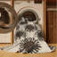 Tapis beige lavable à la machine-104268249