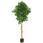 Arbre ficus artificiel en pot-521621000