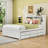 Caelib Full Platform bed with Trundle and 3 Drawers-189638181