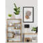 Boulder Plants - Peinture sur cadre-926046025