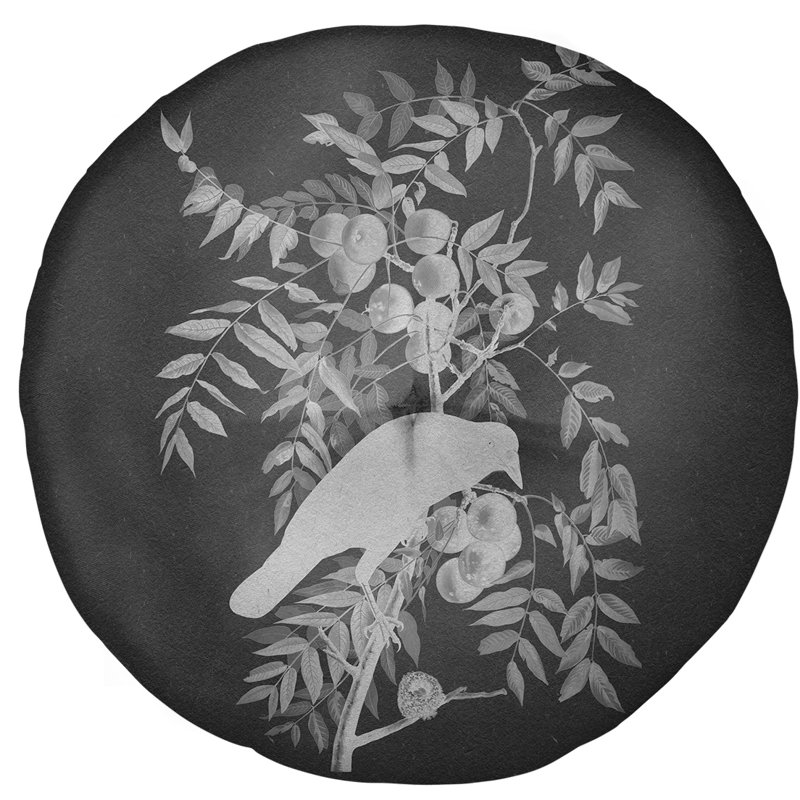 Oreiller en pattes de plancher john james audubon american, 31,5 po x 63 po, Gris