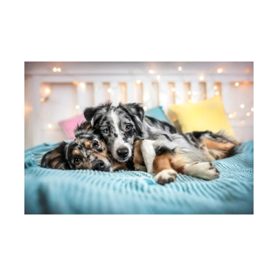 Natalie Grosse Relax & Dream Canvas Art