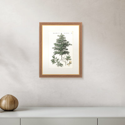 Martha Stewart Skylands, art mural en bois, Étude d'arbre de forêt I, 19,75 po x 25,75 po, décor de salon et de chambre à coucher, encadré