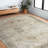 Appolonie Oriental Indoor Rug-1441120165