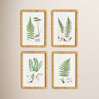 Eifa "Forest Fern" 4-Piece Print Set
