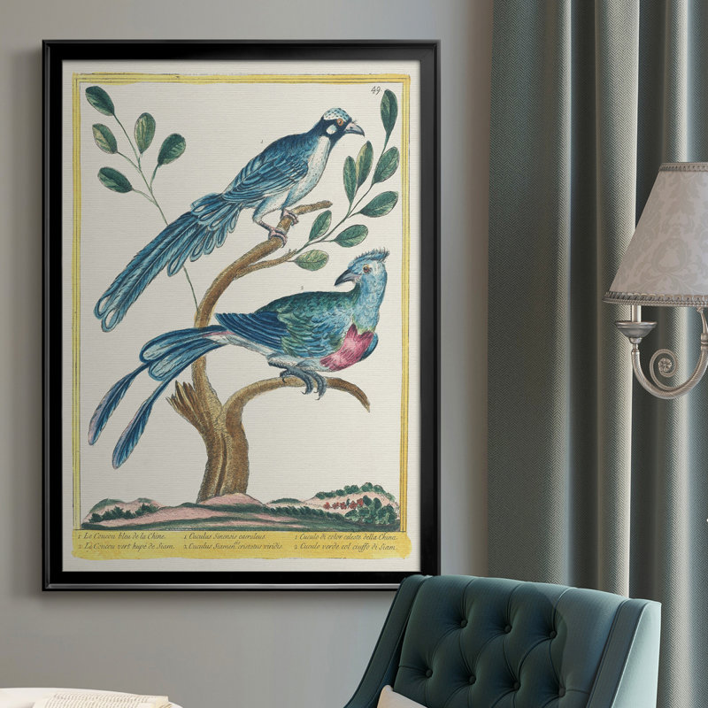 Toile encadrée Pastel Birds VI Premium - prête à être accrochée, H 36,5 po x l 26,5 po x P 1 po, Noir