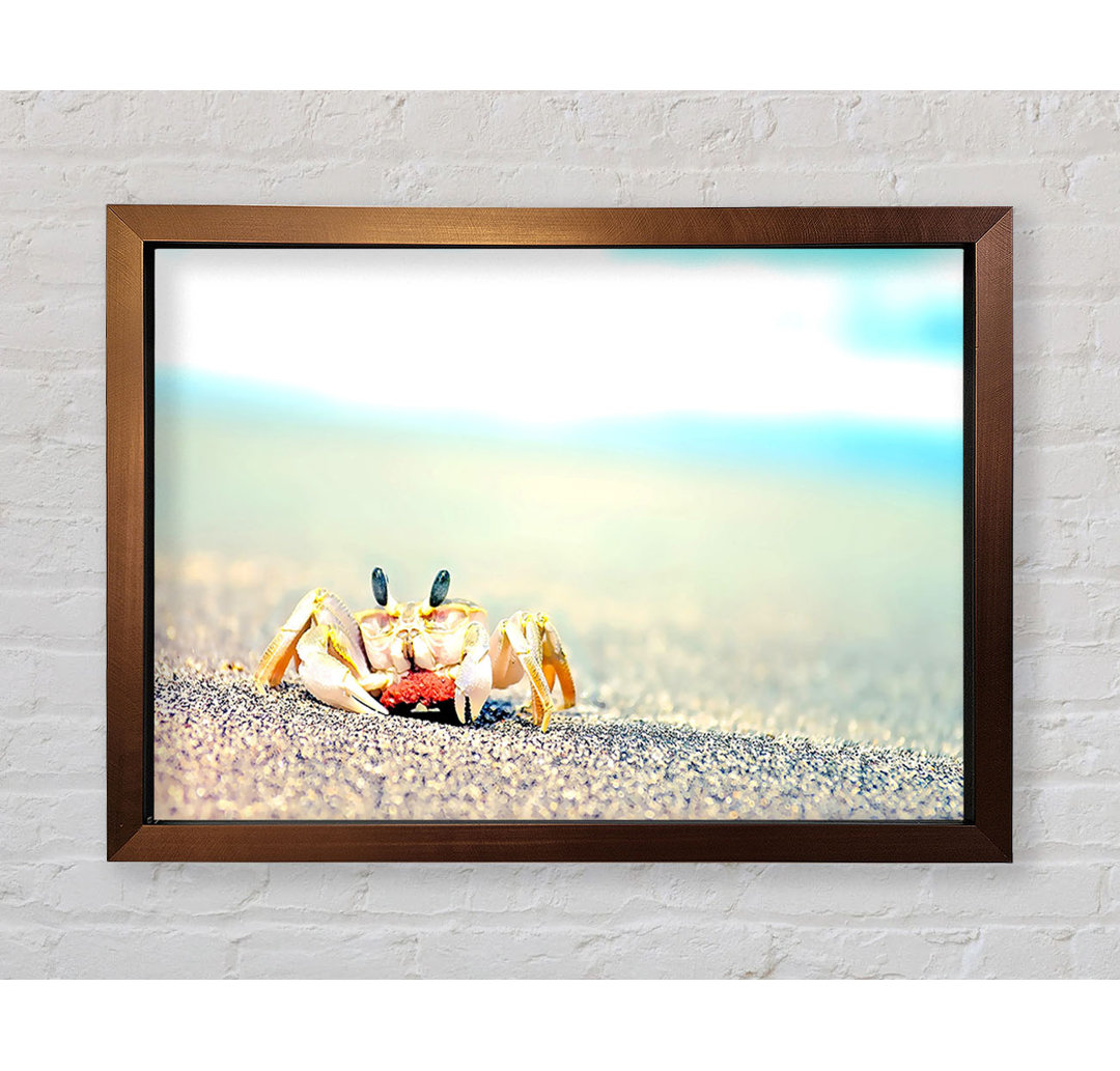 Gerahmtes Bild Lonely Crab