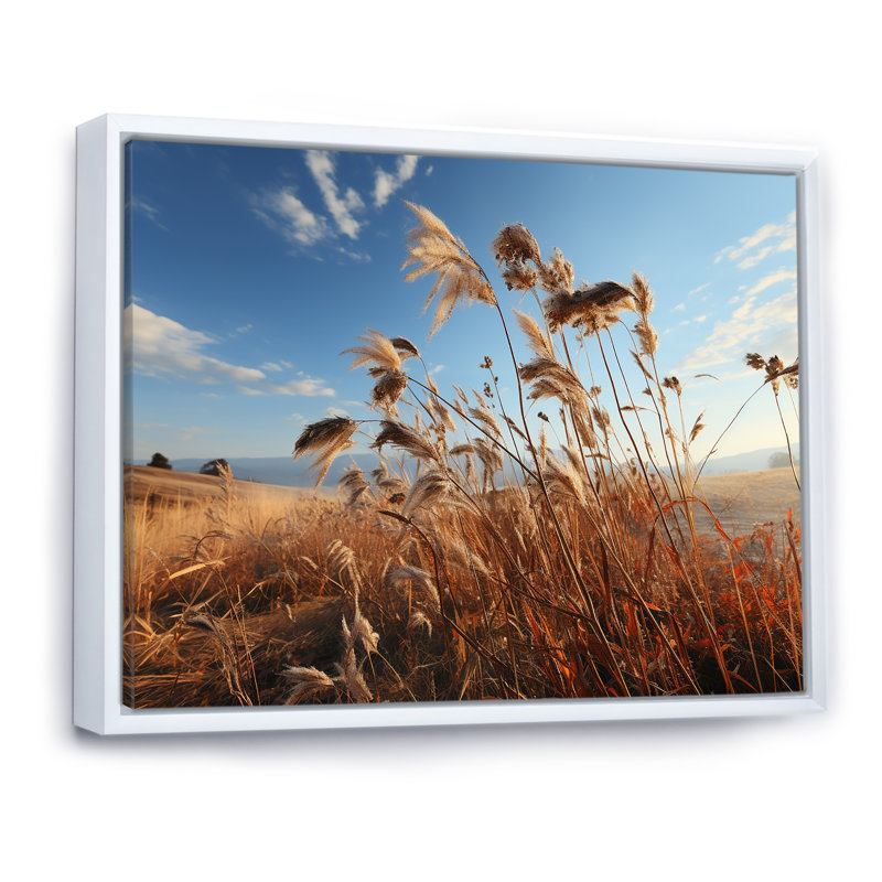 Paysage de prairie sur toile, Cadre flottant blanc, H 34 po x l 44 po