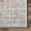 Oriental Area Rug-1628996758
