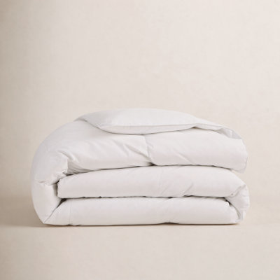 Terron Down Extra Plush Duvet Insert