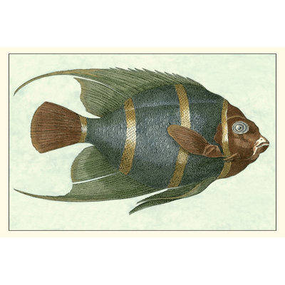 Poisson ange I
