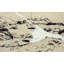 5 Piece No Frame Painting on Canvas