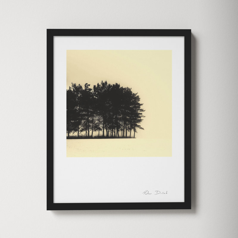 Copse by Peter Dušek, 20" H x 16" W x 1.25" D, Black
