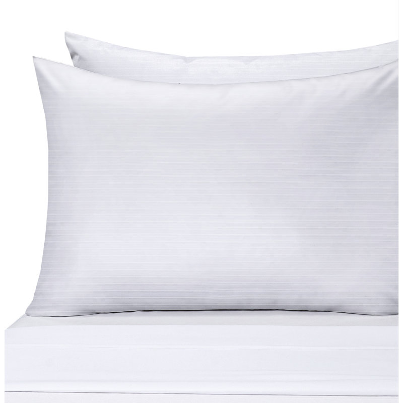 Claritin Allergen Barrier Pillow Protector, Set of 2, King