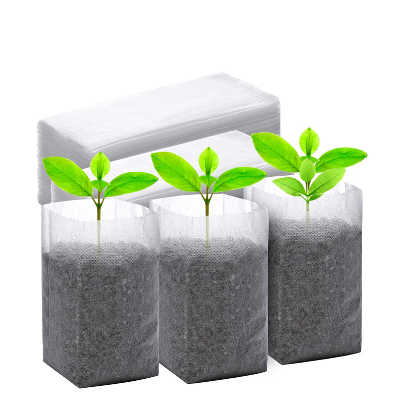 Oniesha Nursery Pot