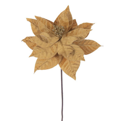 Tiges de poinsettia