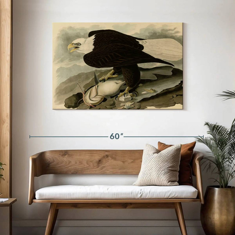 Brampt Whiteheaded Eagle, 30" H x 45" W
