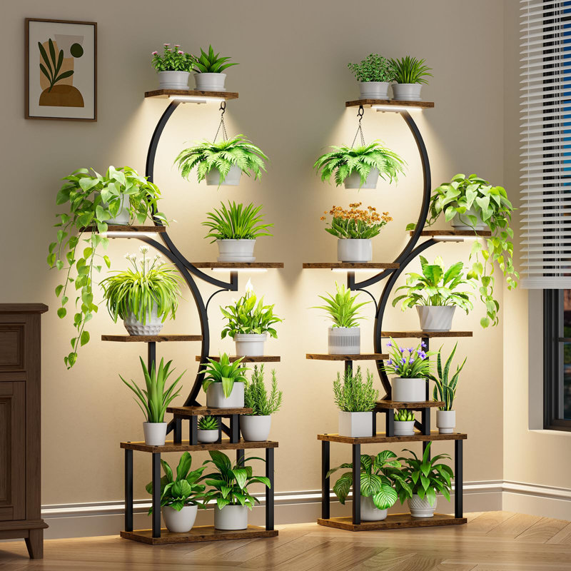 Support pour plante d'intérieur avec culture de lumière - Ensemble de 2 grandes tablettes d'intérieur pour plantes, support pour plante d'angle 62 po, grande tablette à multiples niveaux en forme de S pour la maison, le bureau