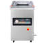 Scelleuse sous vide à chambre, puissance de scellage de 600 W, machine à emballer sous vide pour aliments humides, viandes, marinades et plus