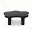 Cloud-Shaped Coffee Table with 4 Round Legs – Black-129593504