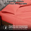 Ensemble de draps 300 po-1620519256-1620519247